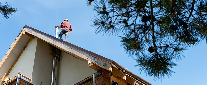 Birds Removal Contractors from Chimney in Homeowners of Downtown, TX