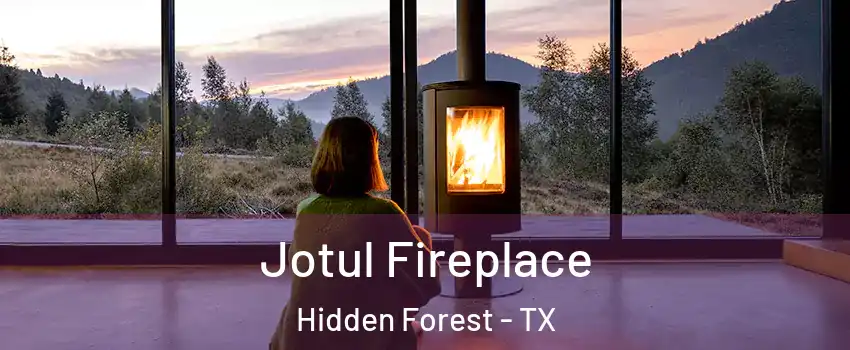 Jotul Fireplace Hidden Forest - TX