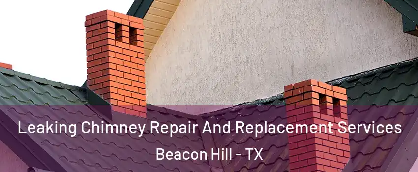 Leaking Chimney Repair And Replacement Services Beacon Hill - TX