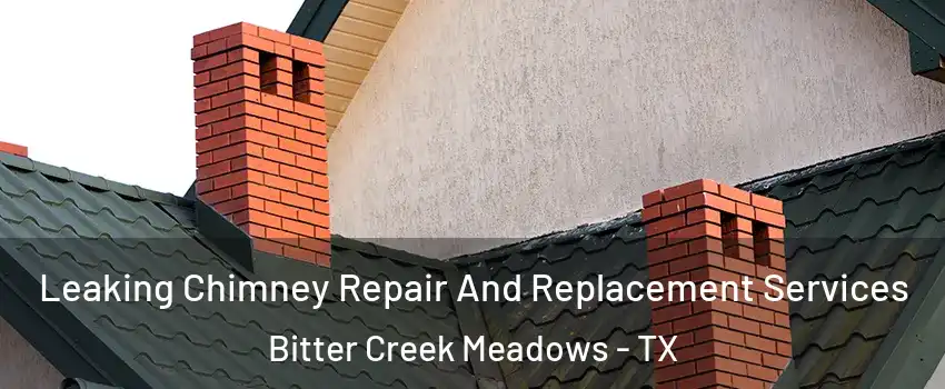 Leaking Chimney Repair And Replacement Services Bitter Creek Meadows - TX