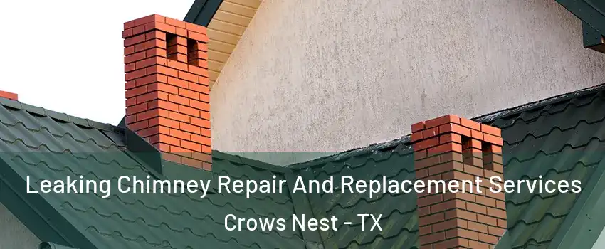 Leaking Chimney Repair And Replacement Services Crows Nest - TX