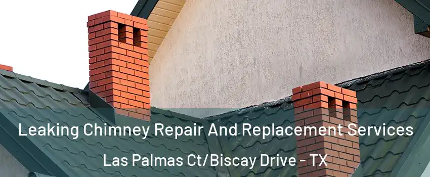 Leaking Chimney Repair And Replacement Services Las Palmas Ct/Biscay Drive - TX