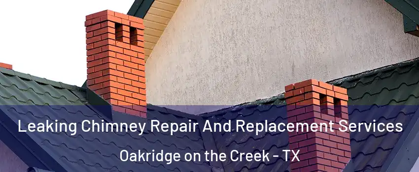 Leaking Chimney Repair And Replacement Services Oakridge on the Creek - TX