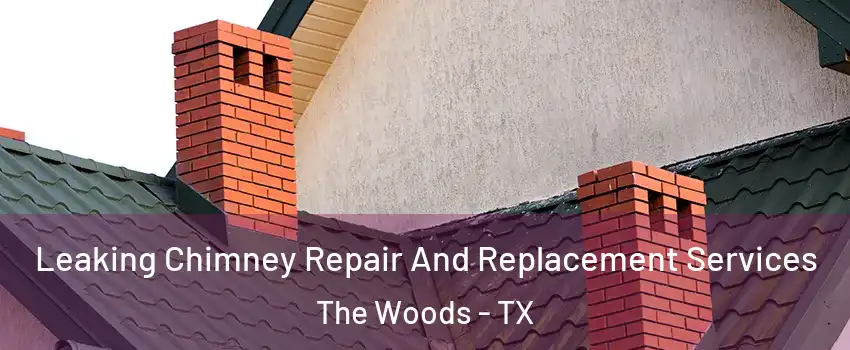 Leaking Chimney Repair And Replacement Services The Woods - TX