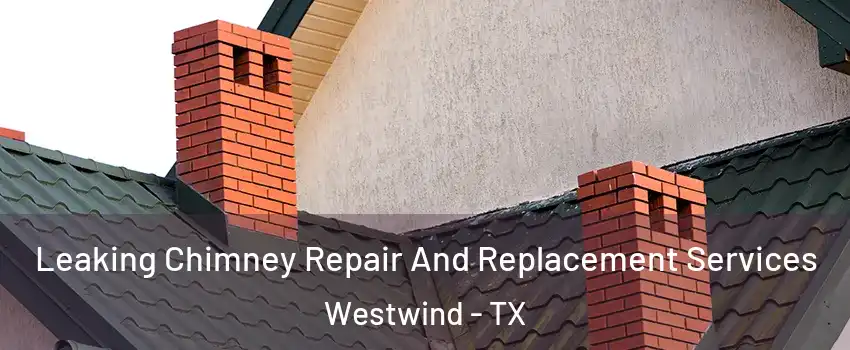 Leaking Chimney Repair And Replacement Services Westwind - TX