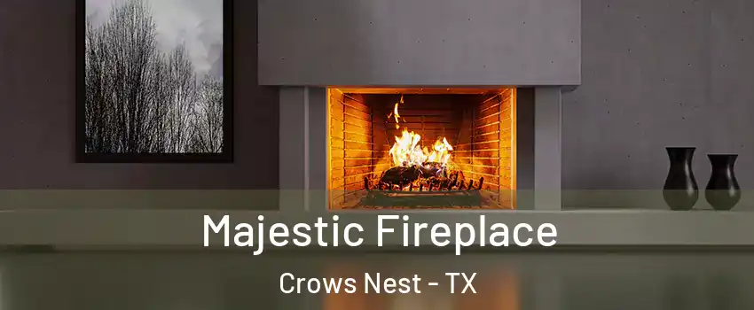Majestic Fireplace Crows Nest - TX