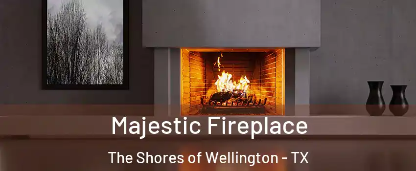 Majestic Fireplace The Shores of Wellington - TX
