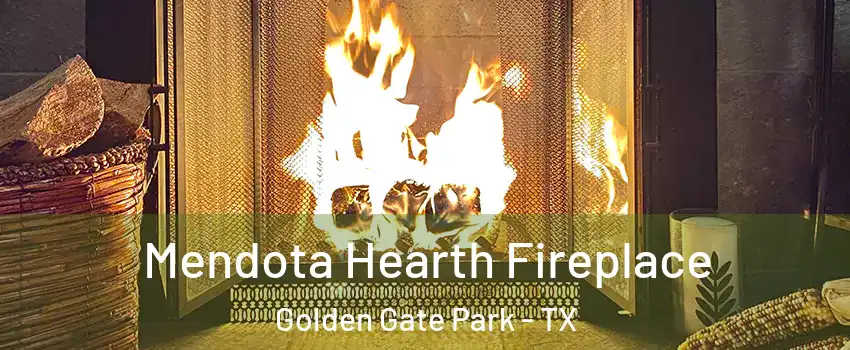 Mendota Hearth Fireplace Golden Gate Park - TX