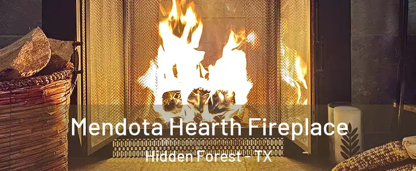 Mendota Hearth Fireplace Hidden Forest - TX