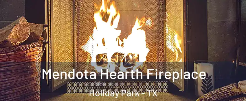 Mendota Hearth Fireplace Holiday Park - TX
