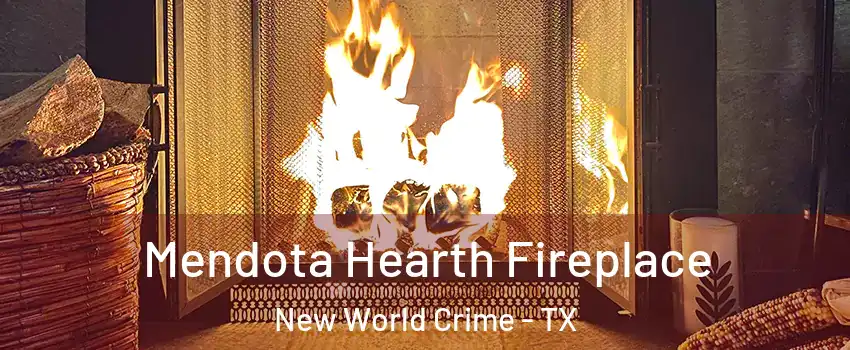 Mendota Hearth Fireplace New World Crime - TX