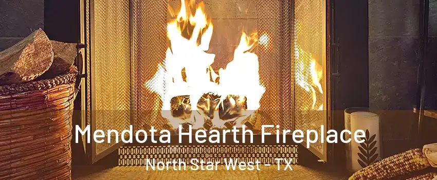 Mendota Hearth Fireplace North Star West - TX