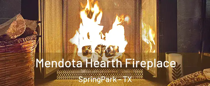 Mendota Hearth Fireplace SpringPark - TX