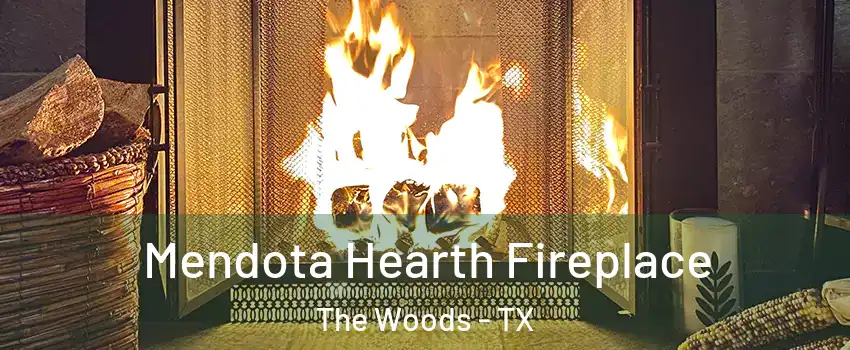 Mendota Hearth Fireplace The Woods - TX