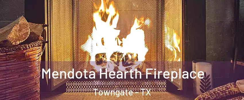 Mendota Hearth Fireplace Towngate - TX