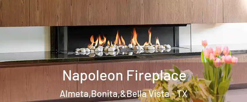 Napoleon Fireplace Almeta,Bonita,&Bella Vista - TX