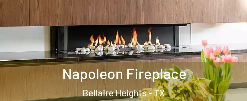 Napoleon Fireplace Bellaire Heights - TX