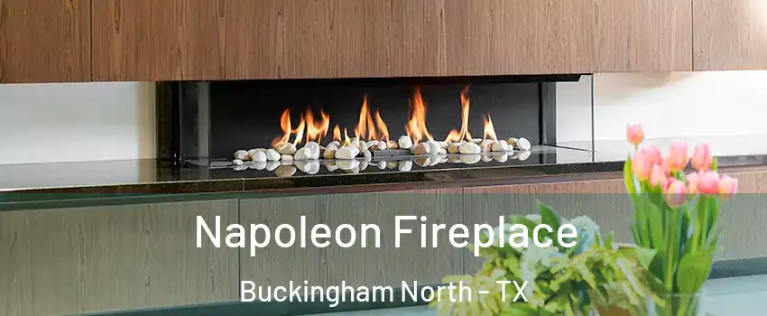 Napoleon Fireplace Buckingham North - TX