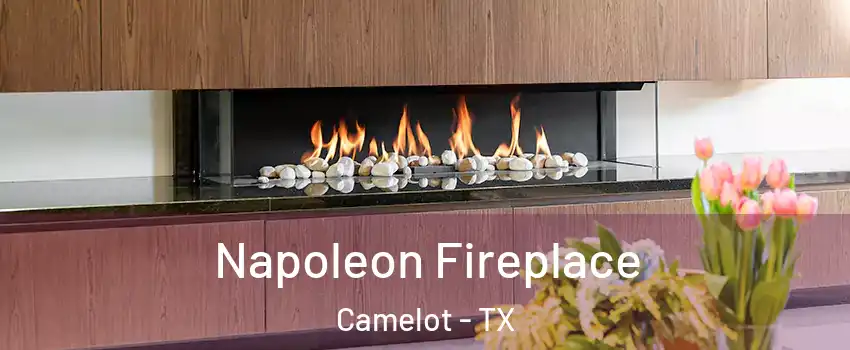 Napoleon Fireplace Camelot - TX