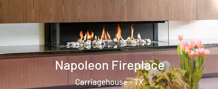 Napoleon Fireplace Carriagehouse - TX