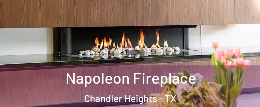 Napoleon Fireplace Chandler Heights - TX
