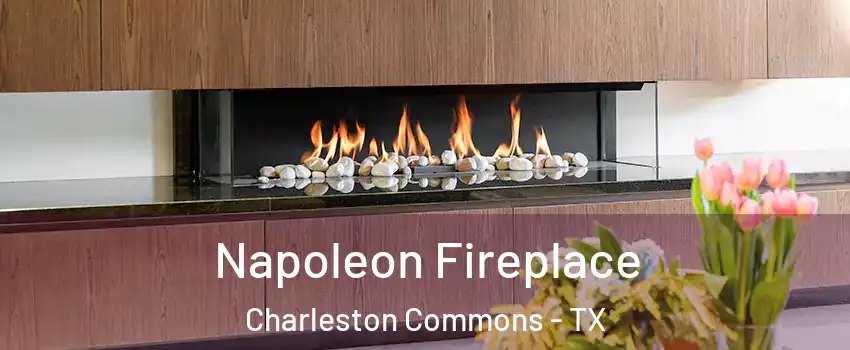 Napoleon Fireplace Charleston Commons - TX