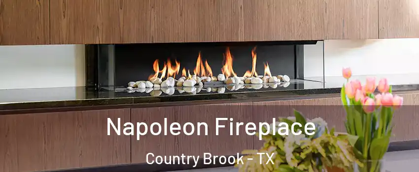 Napoleon Fireplace Country Brook - TX