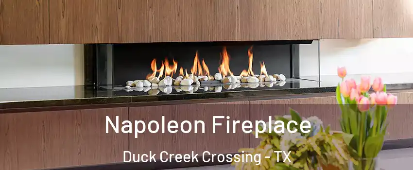 Napoleon Fireplace Duck Creek Crossing - TX