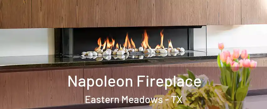 Napoleon Fireplace Eastern Meadows - TX