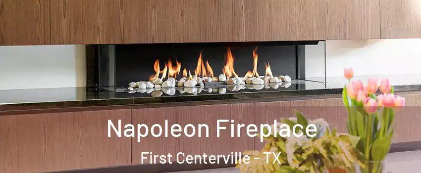 Napoleon Fireplace First Centerville - TX