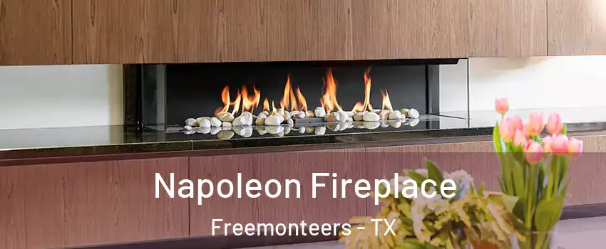Napoleon Fireplace Freemonteers - TX