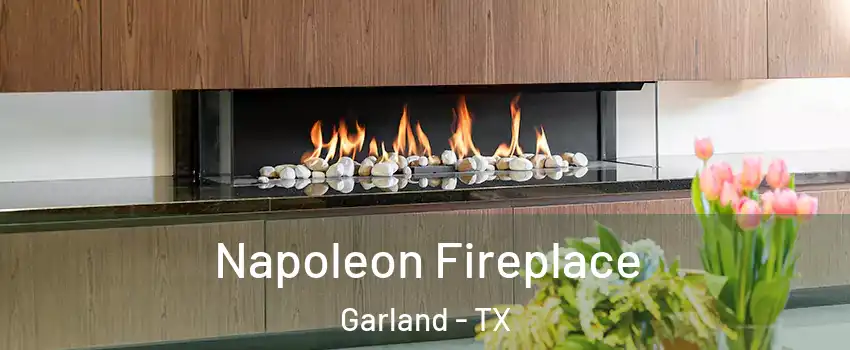 Napoleon Fireplace Garland - TX