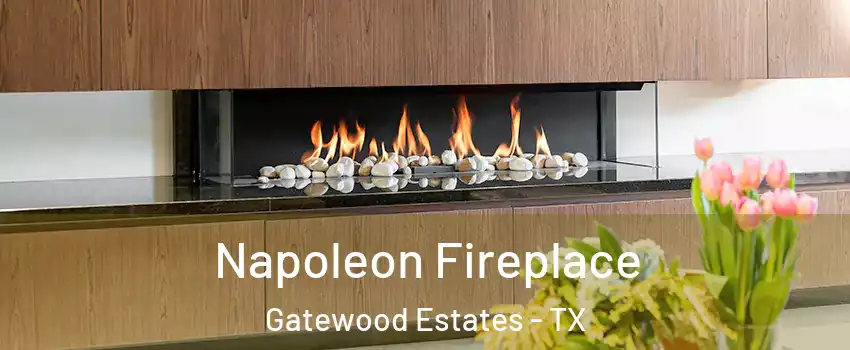 Napoleon Fireplace Gatewood Estates - TX