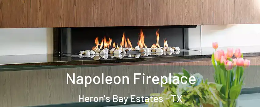 Napoleon Fireplace Heron's Bay Estates - TX