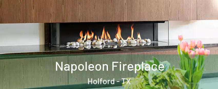 Napoleon Fireplace Holford - TX