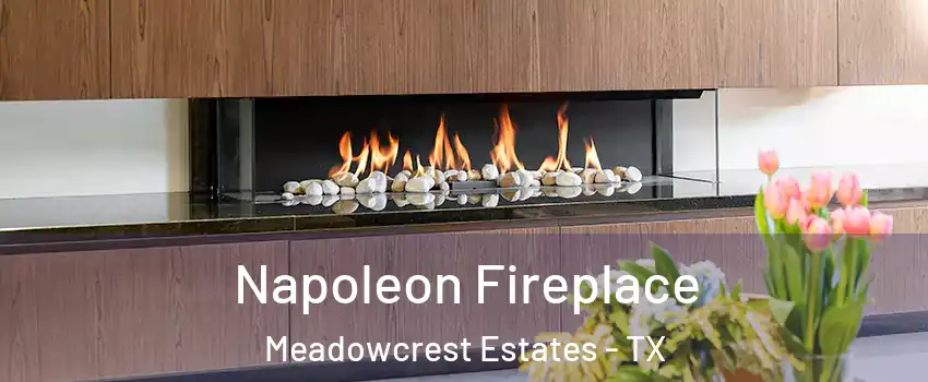 Napoleon Fireplace Meadowcrest Estates - TX