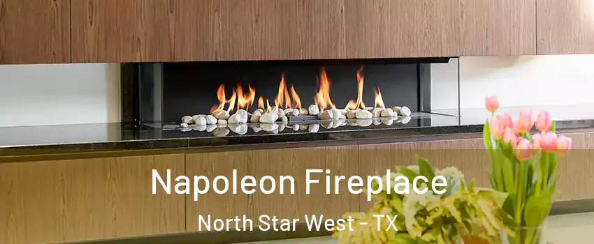 Napoleon Fireplace North Star West - TX