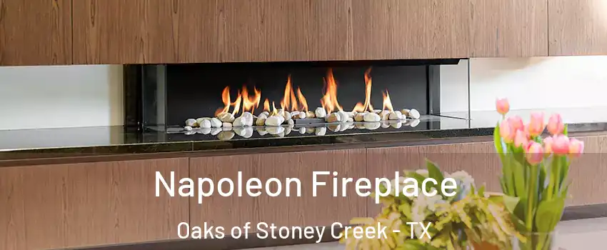 Napoleon Fireplace Oaks of Stoney Creek - TX