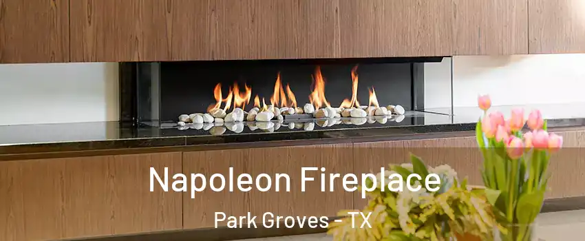 Napoleon Fireplace Park Groves - TX