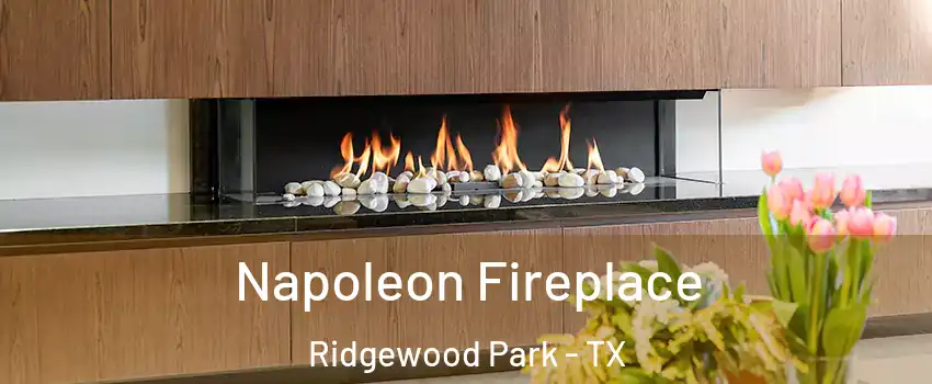 Napoleon Fireplace Ridgewood Park - TX