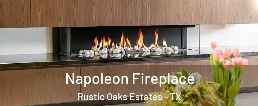 Napoleon Fireplace Rustic Oaks Estates - TX