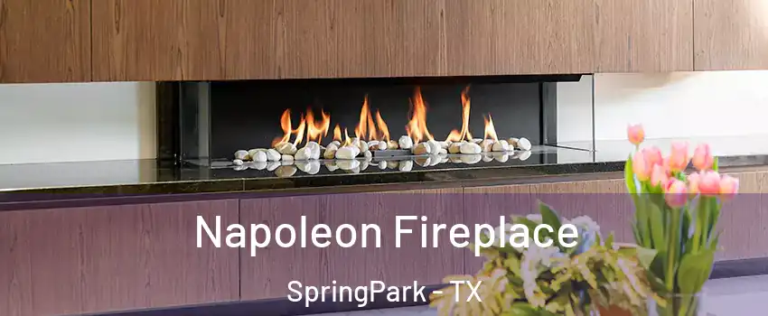 Napoleon Fireplace SpringPark - TX