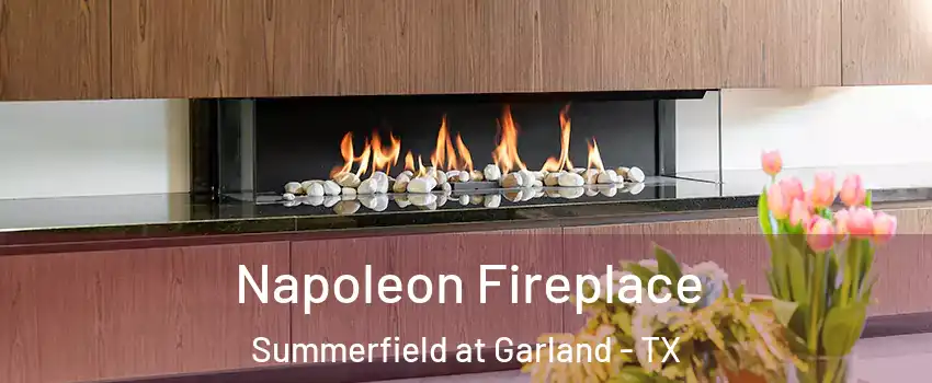 Napoleon Fireplace Summerfield at Garland - TX