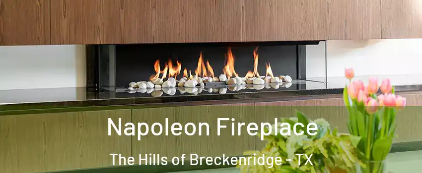 Napoleon Fireplace The Hills of Breckenridge - TX