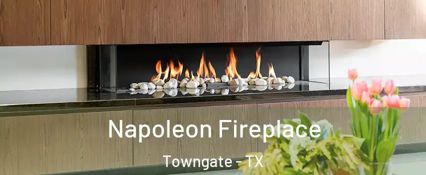 Napoleon Fireplace Towngate - TX