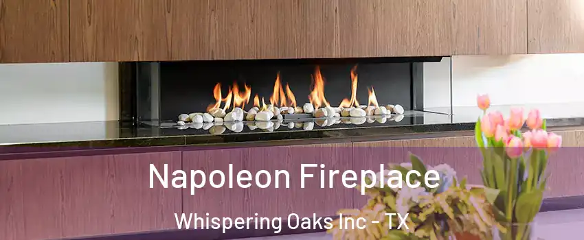 Napoleon Fireplace Whispering Oaks Inc - TX