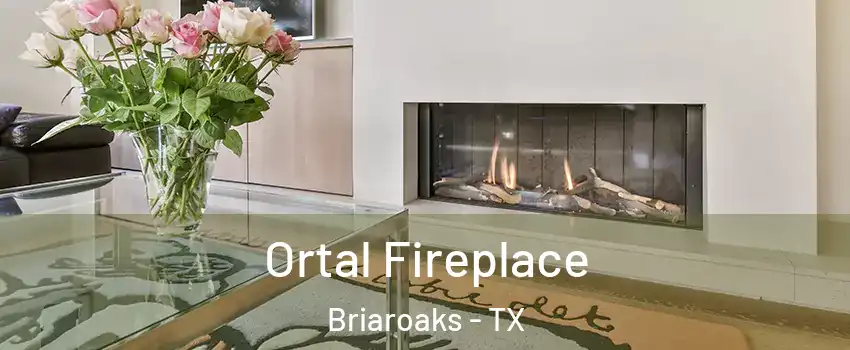 Ortal Fireplace Briaroaks - TX