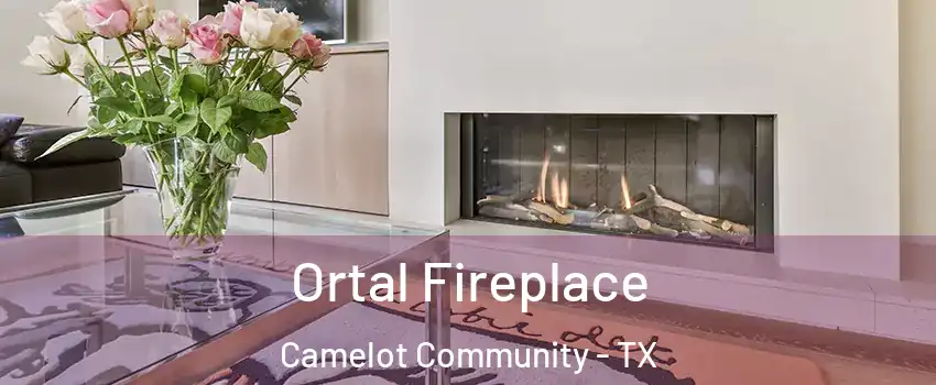 Ortal Fireplace Camelot Community - TX