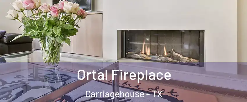 Ortal Fireplace Carriagehouse - TX