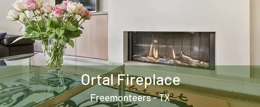 Ortal Fireplace Freemonteers - TX